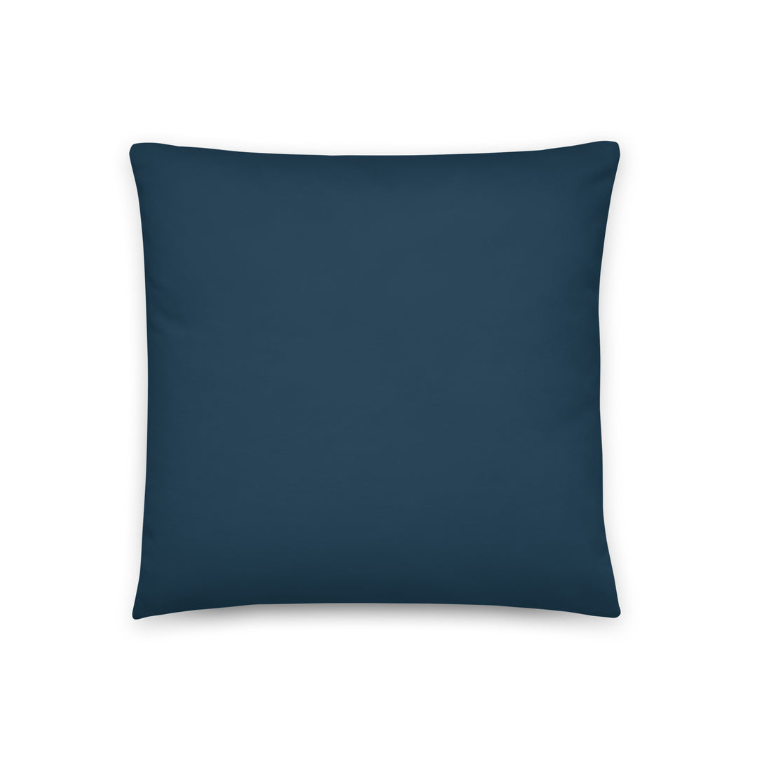 Back view of 18 by 18 inch folk art pillow.