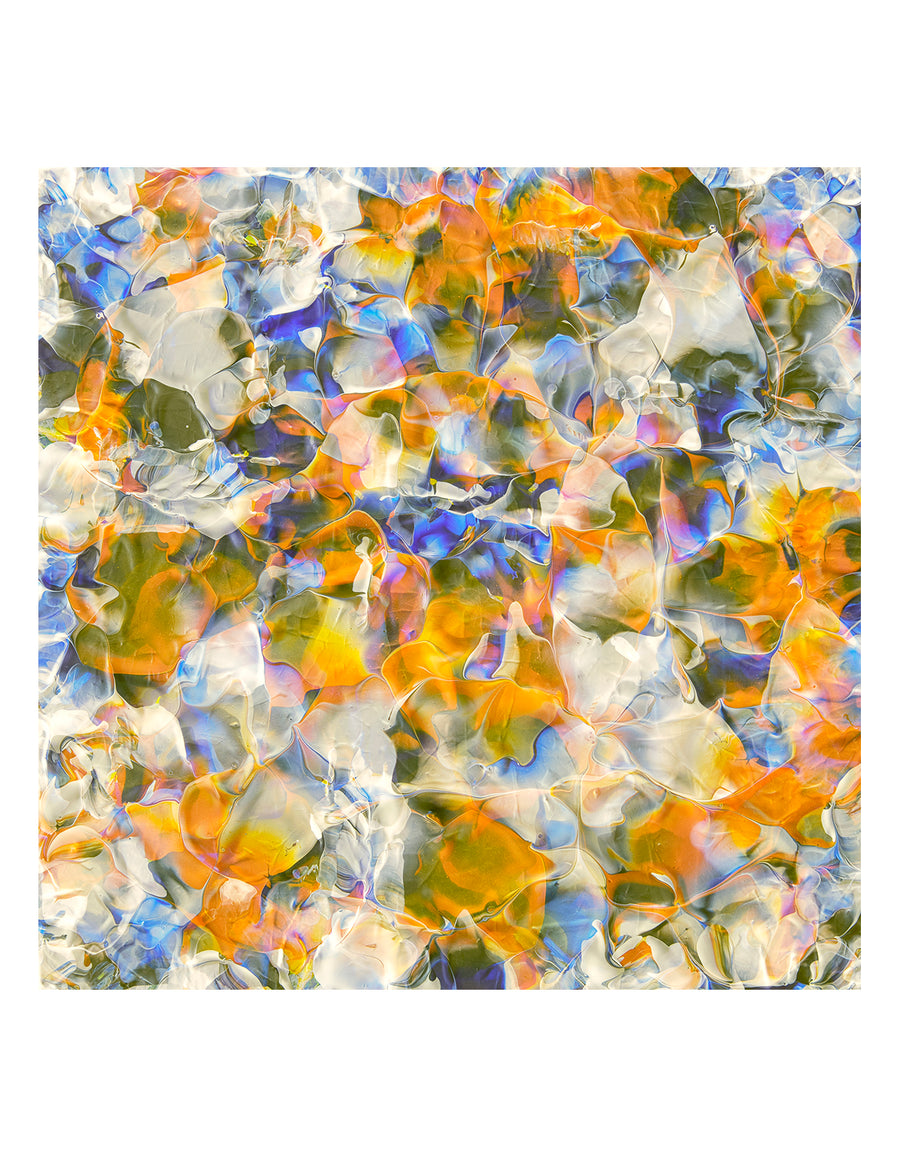 Color Splash colorful abstract painting n a white background.